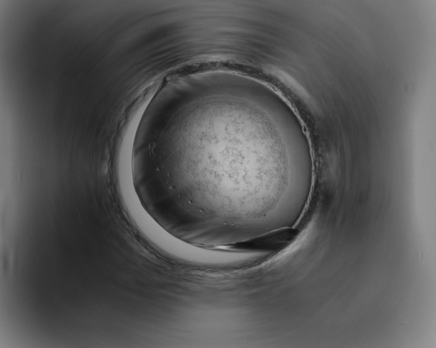 X0000094370969200711162107