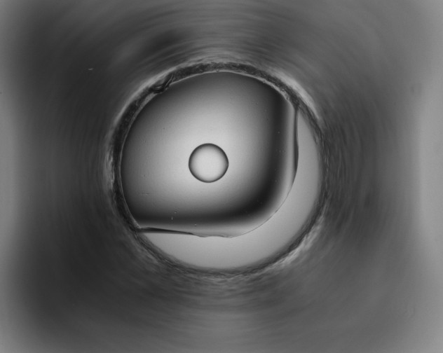 X0000094370973200711162107