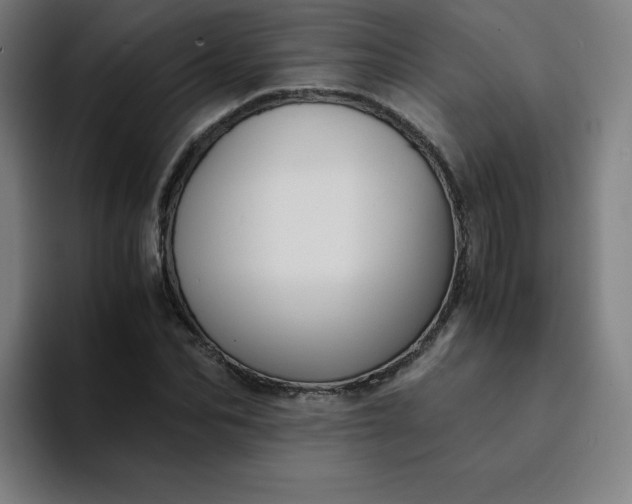 X0000094370974200711162107