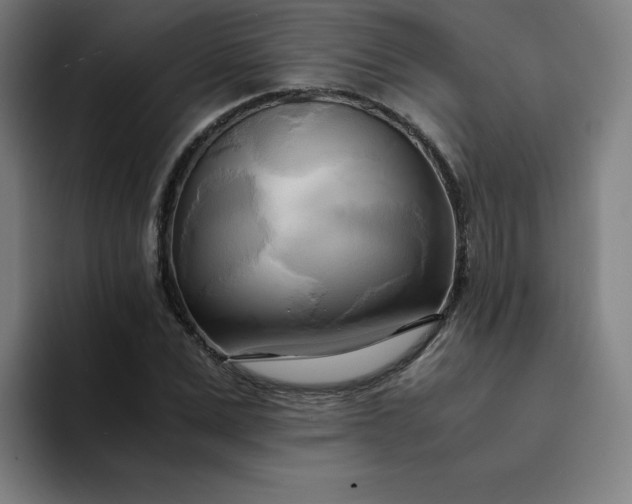 X0000094370975200711162107