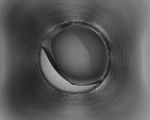 X0000094370977200711162107