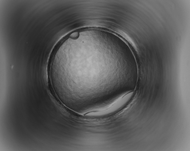 X0000094370980200711162107