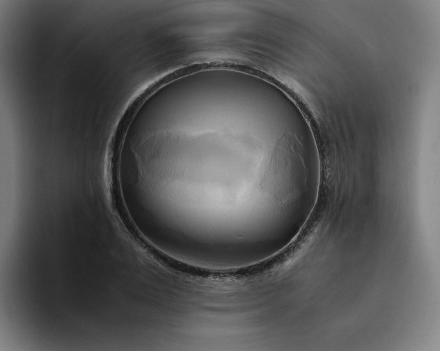 X0000094370983200711162107