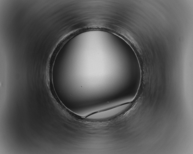 X0000094370984200711162107