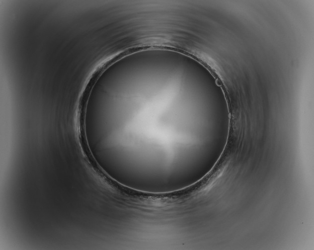 X0000094370987200711162107
