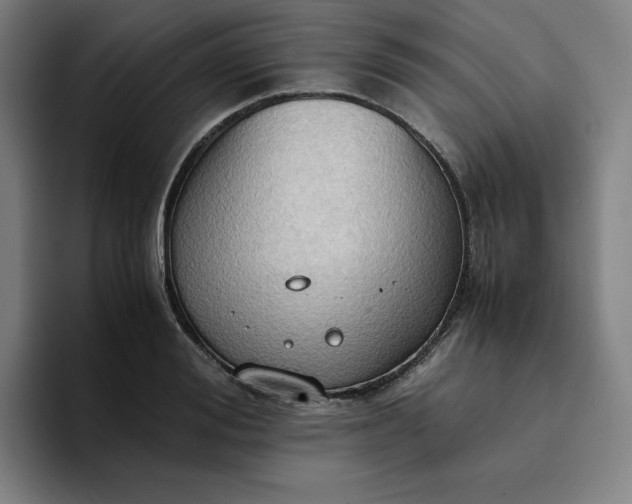 X0000094370988200711162107