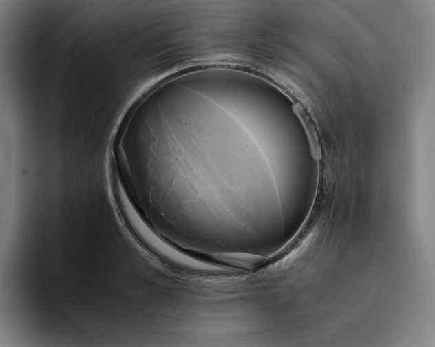 X0000094370989200711162107