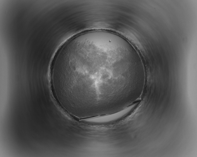 X0000094370990200711162107