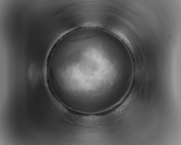 X0000094370992200711162107