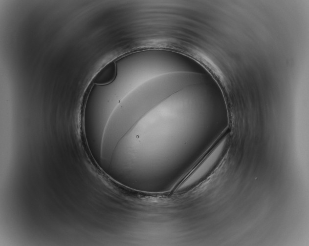 X0000094370994200711162107
