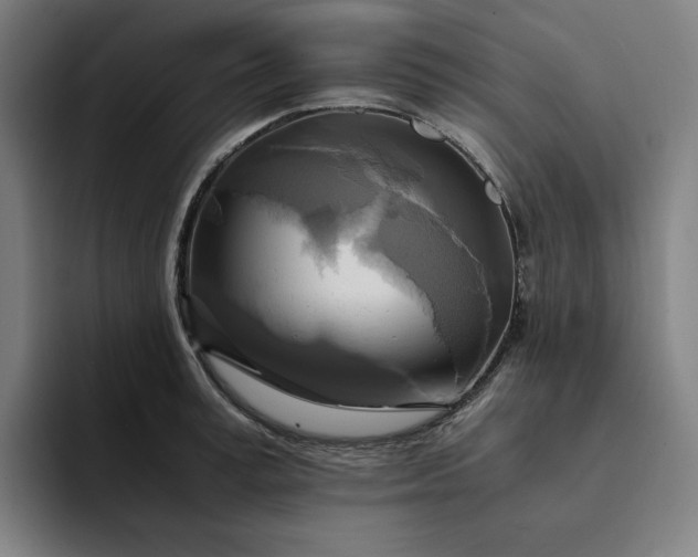 X0000094370995200711162107