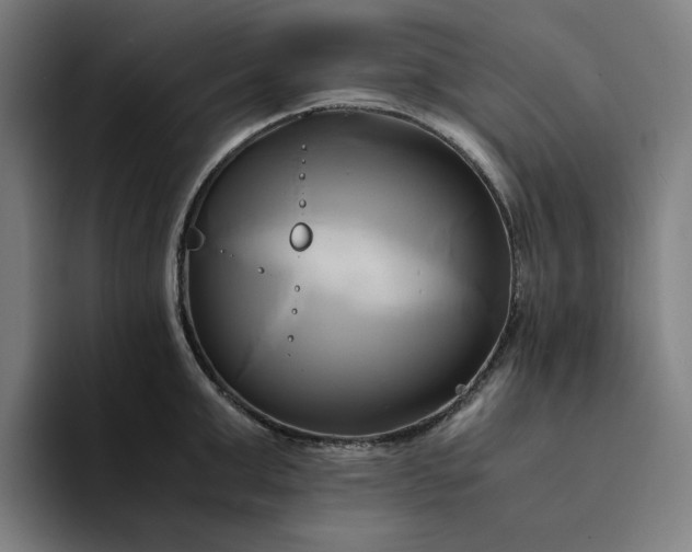 X0000094370999200711162107