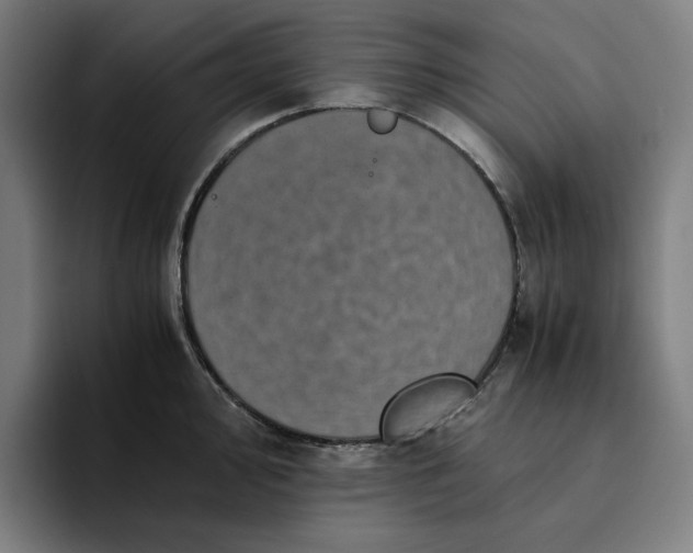 X0000094371000200711162107