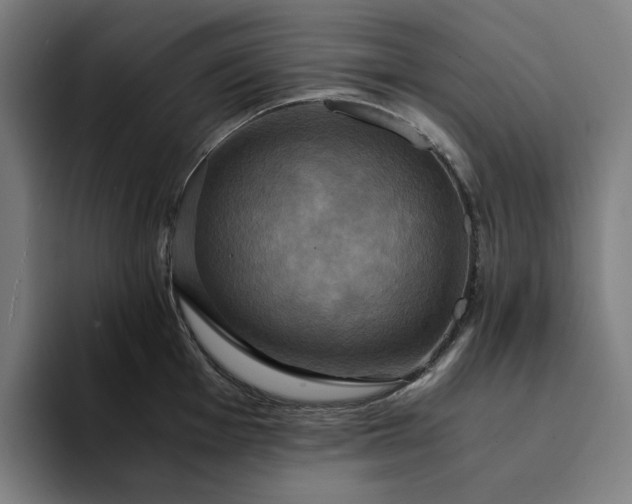 X0000094371001200711162107
