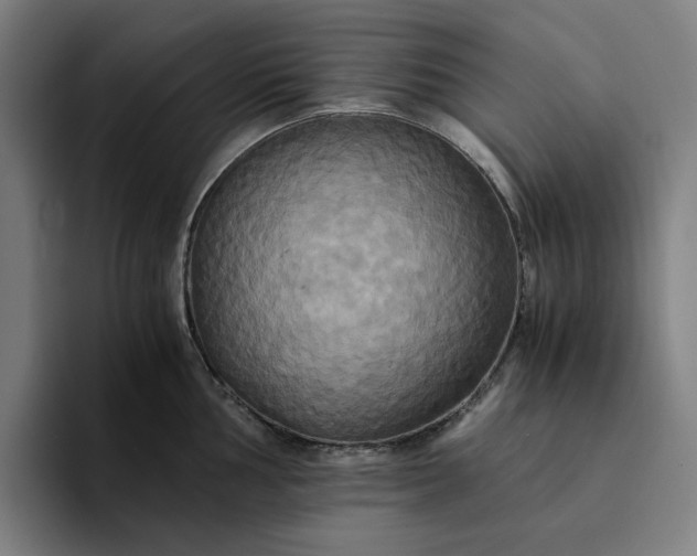X0000094371002200711162107