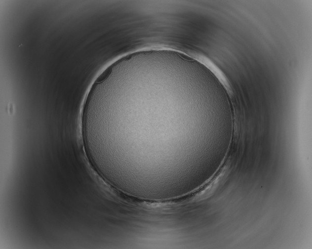 X0000094371004200711162107