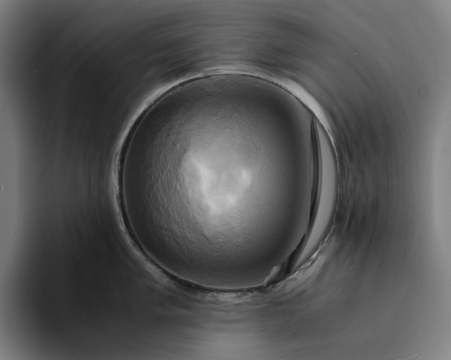 X0000094371005200711162107