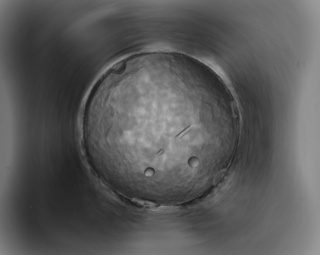 X0000094371008200711162107