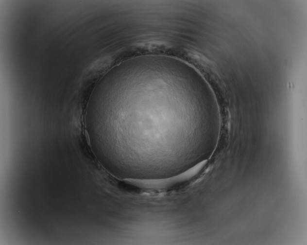 X0000094371014200711162106