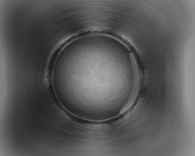 X0000094371018200711162106