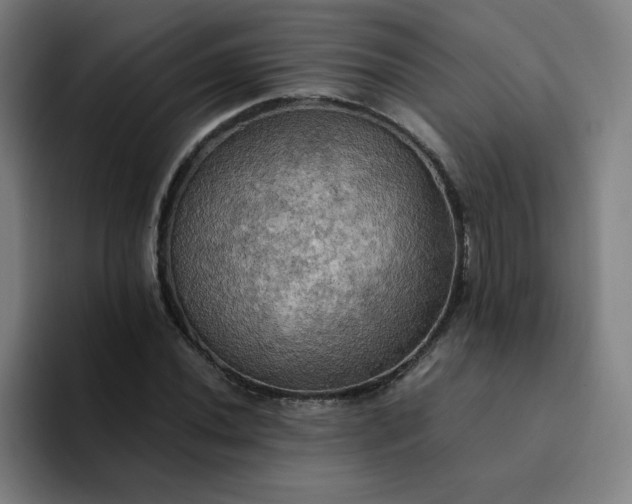 X0000094371020200711162106