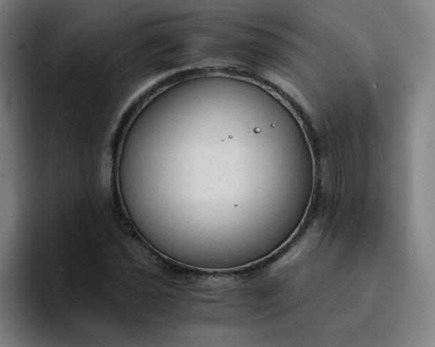 X0000094371021200711162106