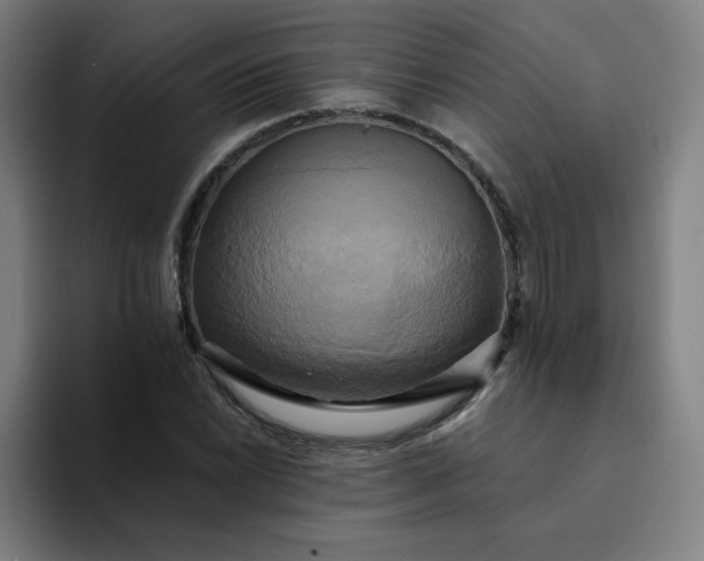 X0000094371022200711162106