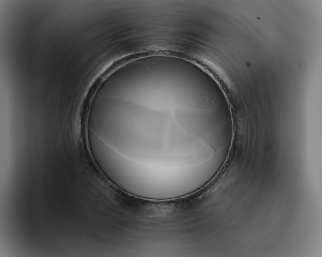 X0000094371023200711162106