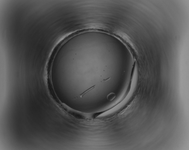 X0000094371024200711162106