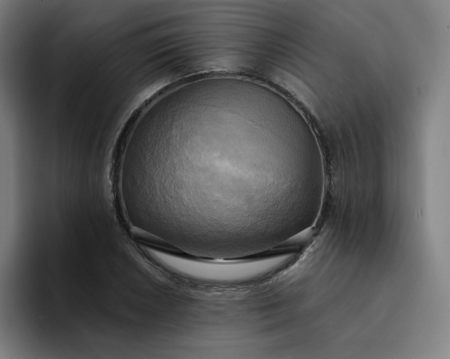 X0000094371026200711162106
