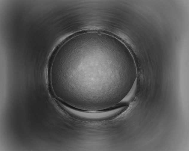 X0000094371030200711162106