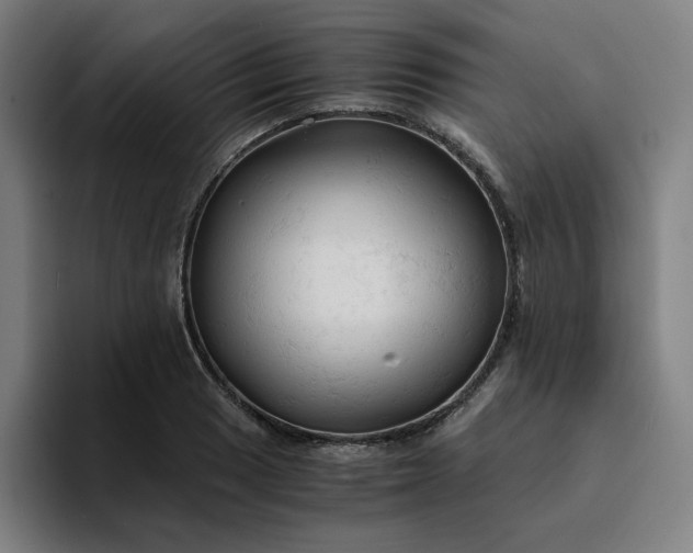 X0000094371033200711162106