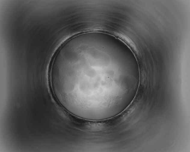 X0000094371039200711162106