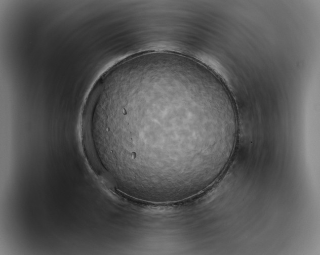X0000094371040200711162106