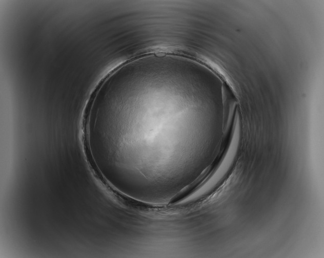 X0000094371042200711162106