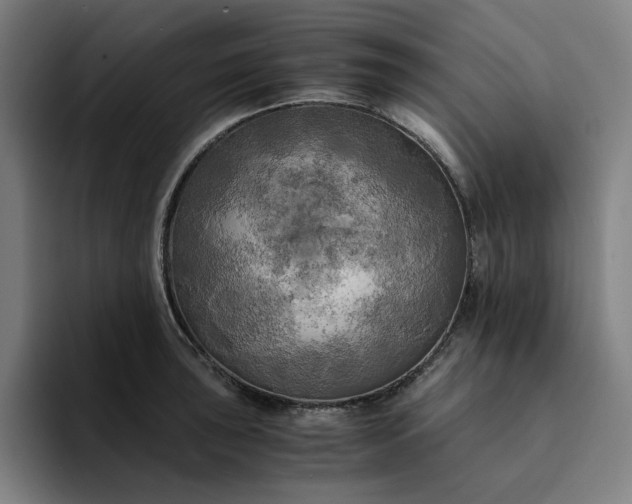 X0000094371043200711162106