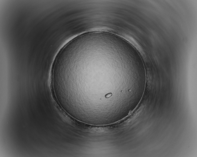 X0000094371044200711162106