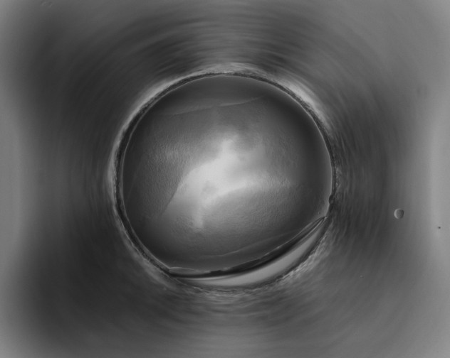 X0000094371046200711162107
