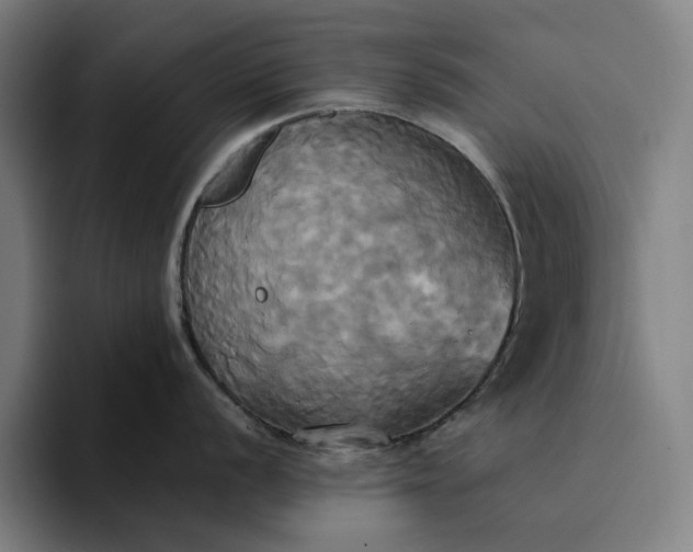 X0000094371056200711162107