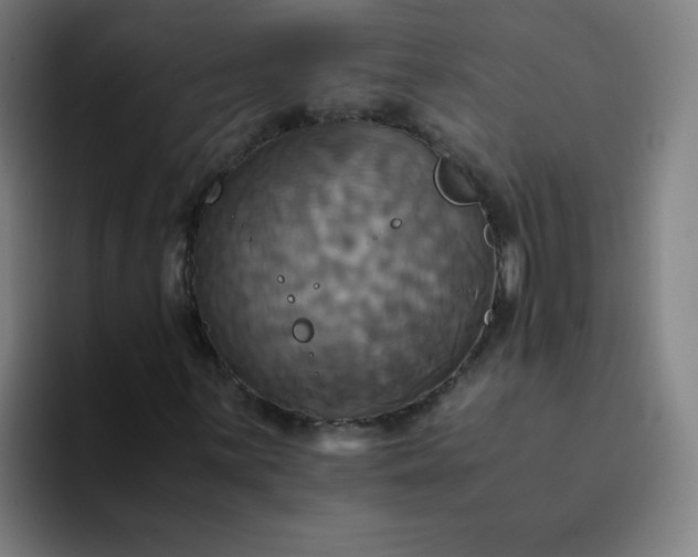 X0000094371059200711162106