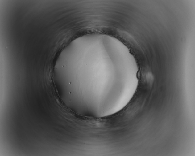 X0000094371060200711162106