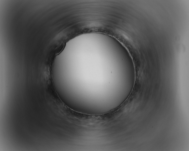 X0000094371062200711162106