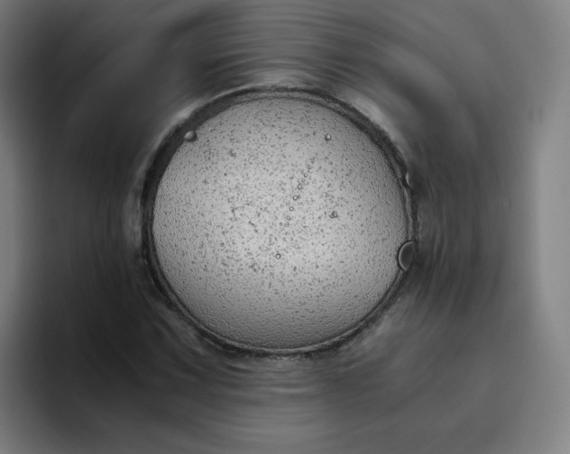 X0000094371067200711162106