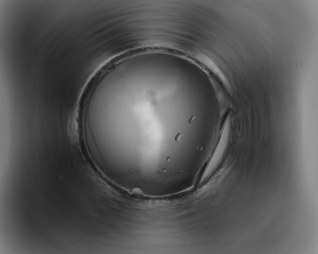 X0000094371068200711162106