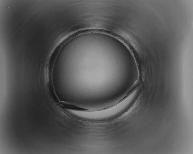 X0000094371069200711162106
