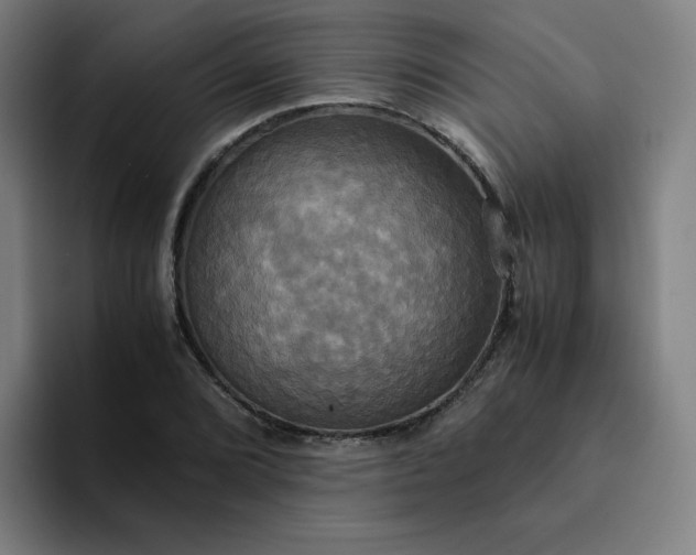 X0000094371072200711162106
