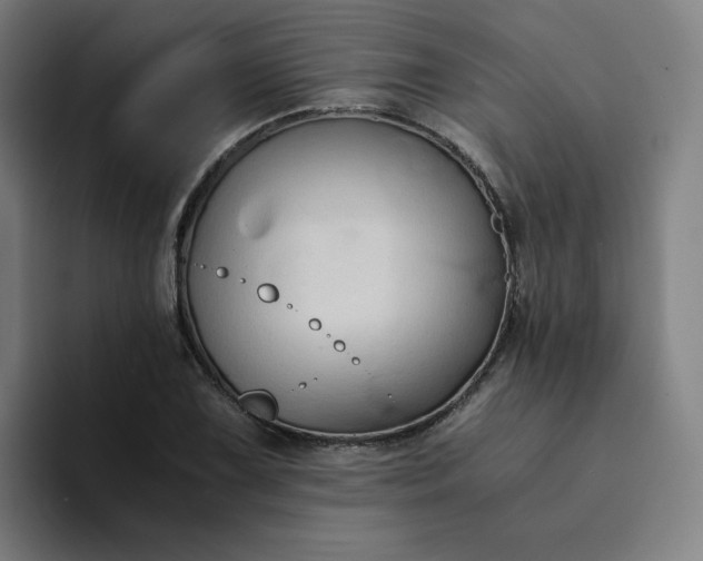X0000094371075200711162106
