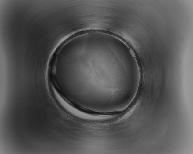 X0000094371077200711162106