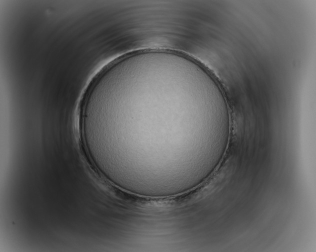 X0000094371078200711162106