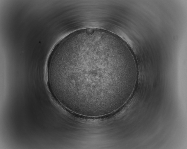 X0000094371080200711162106